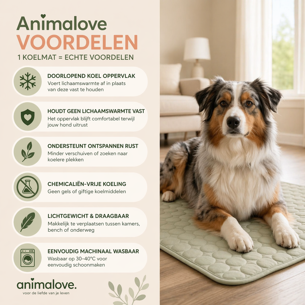 Animalove CoolComfort™