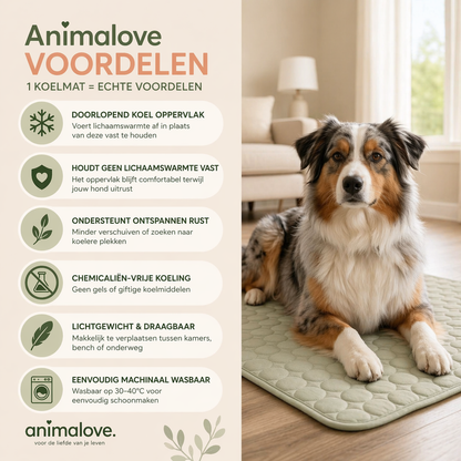 Animalove CoolComfort™