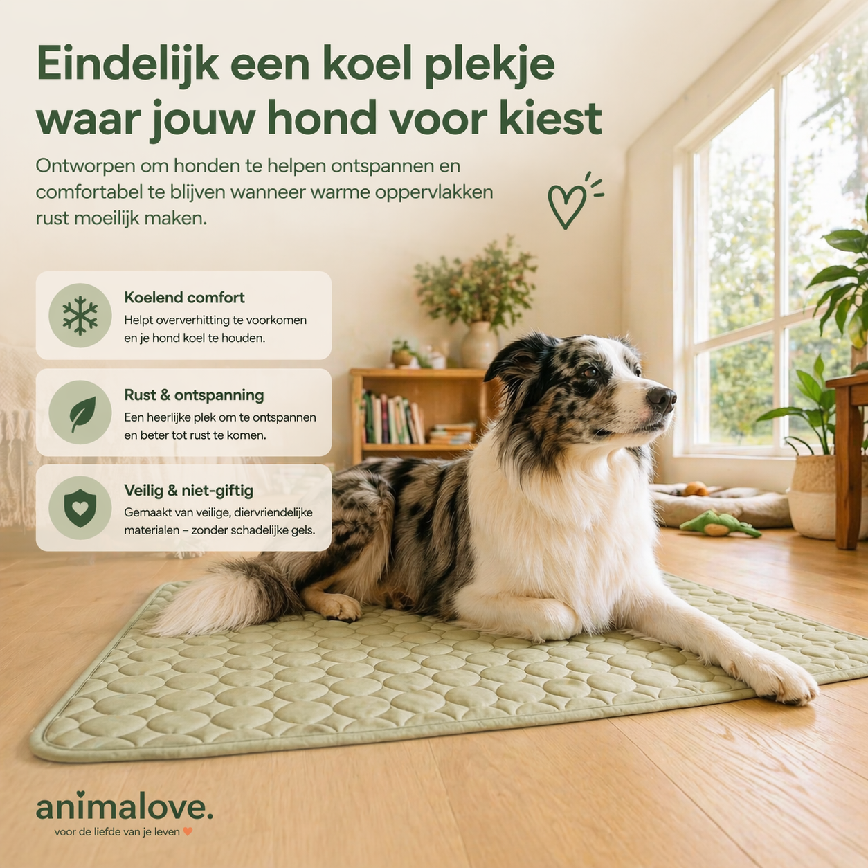 Animalove CoolComfort™