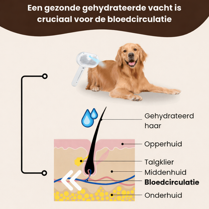 Animalove SteamBrush™