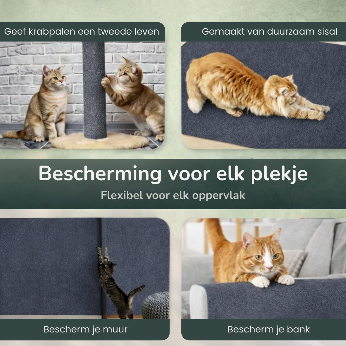 Animalove™ ScratchGuard Pro
