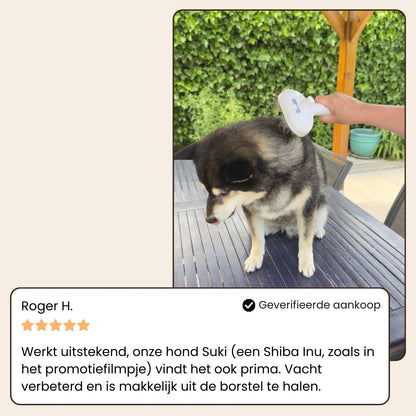Animalove SteamBrush™