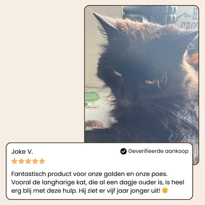Animalove SteamBrush™