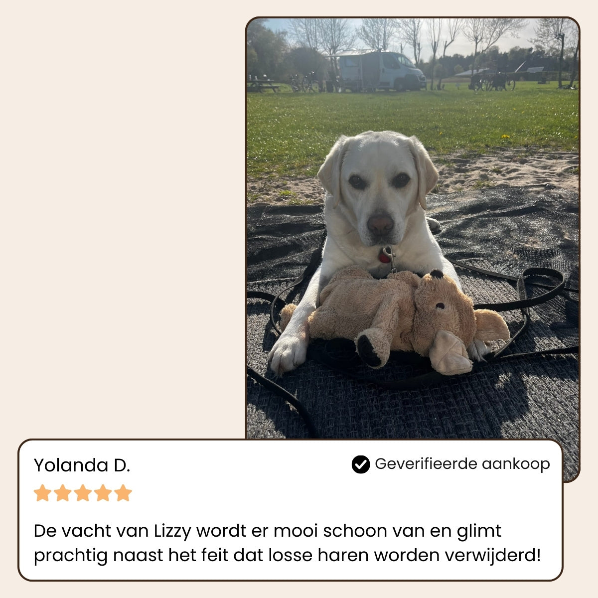 Animalove SteamBrush™