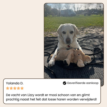 Animalove SteamBrush™
