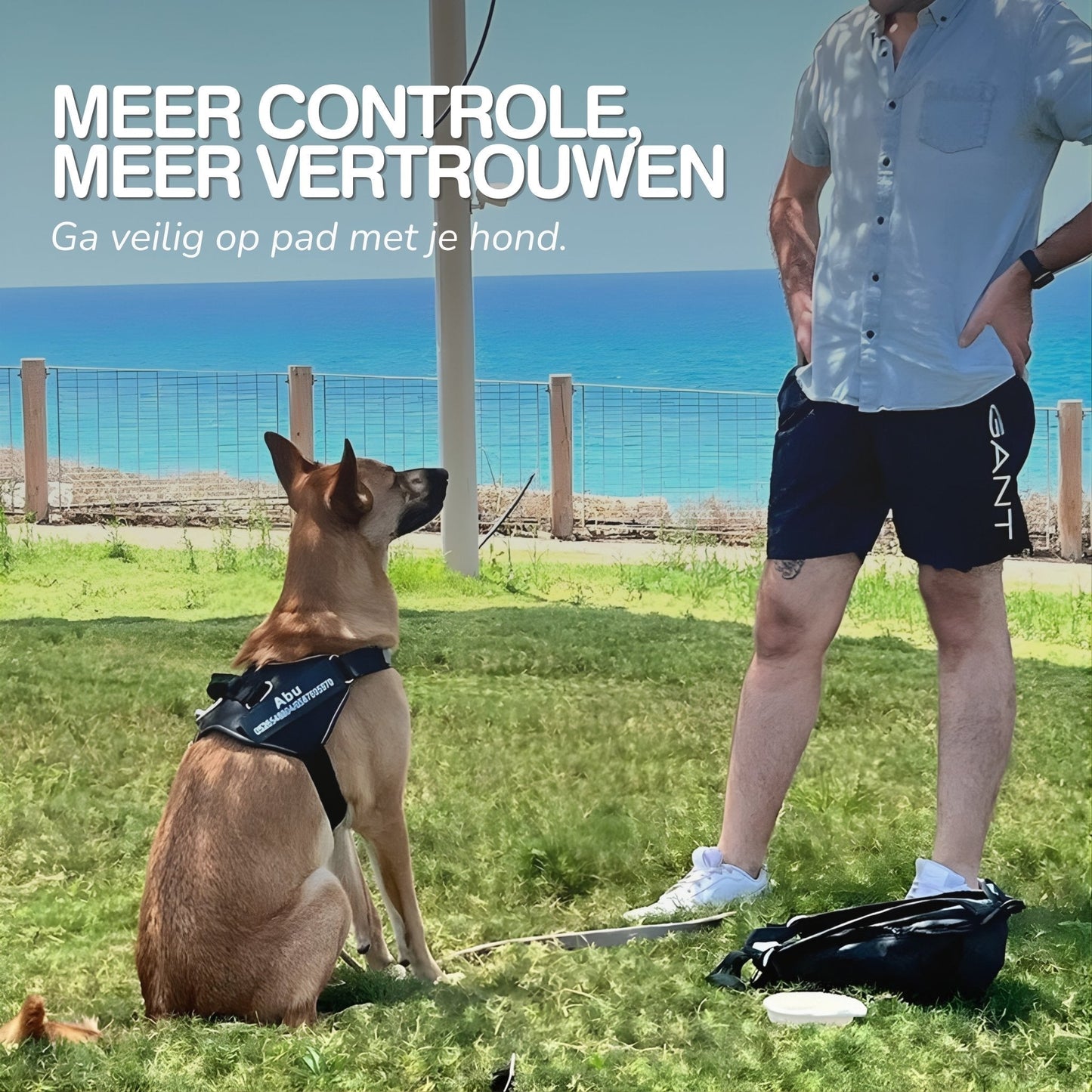 Stop met trekken tijdens het wandelen — altijd herkenbaar met naam & nummer