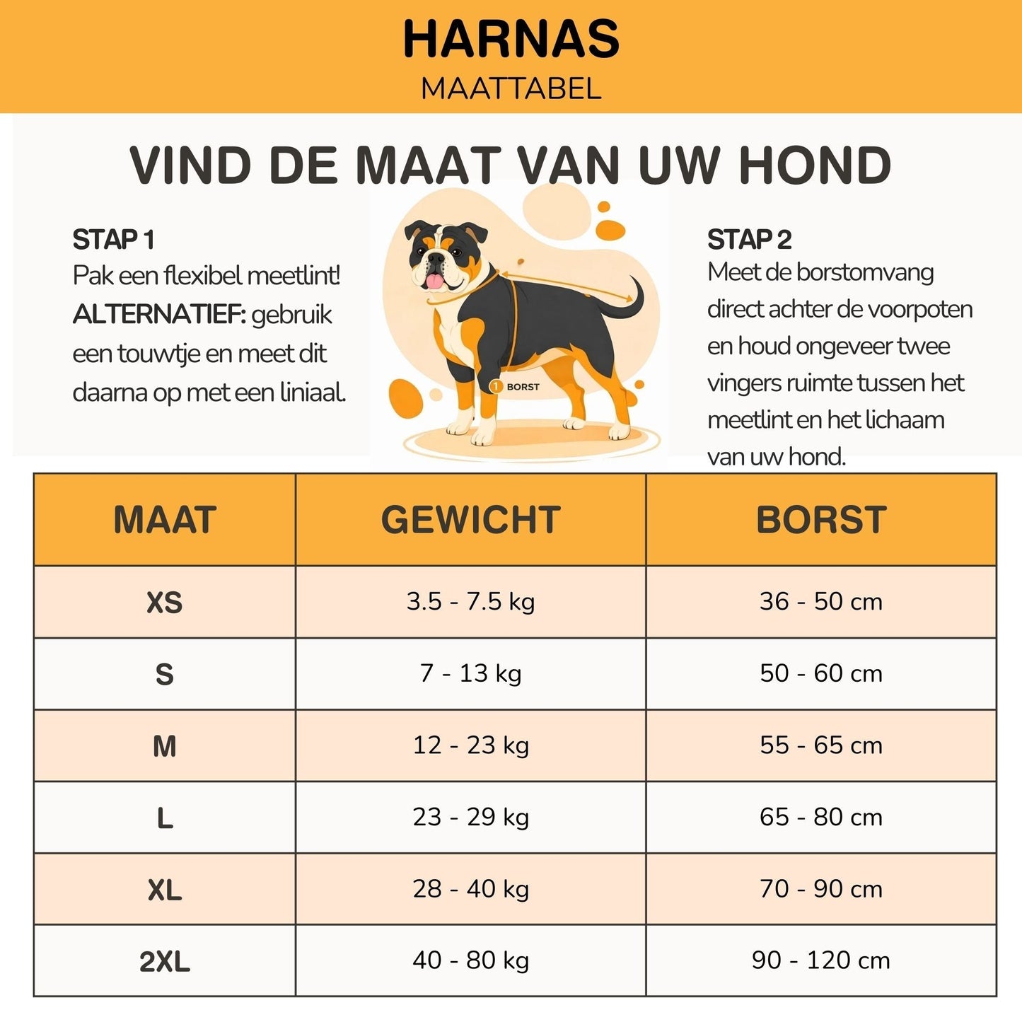 Stop met trekken tijdens het wandelen — altijd herkenbaar met naam & nummer